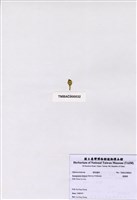 藏品(香蕉菜)的圖片